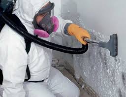 Best Residential Mold Inspection & Testing  in Alba, NY